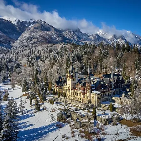 The Cozy Deer Apartment Sinaia Exterior photo