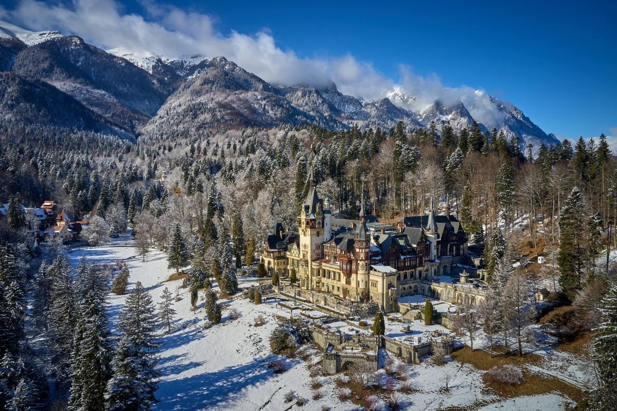 Apartment The Cozy Deer Sinaia